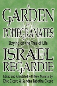 Capa do livro Um Jardim de Romãs
